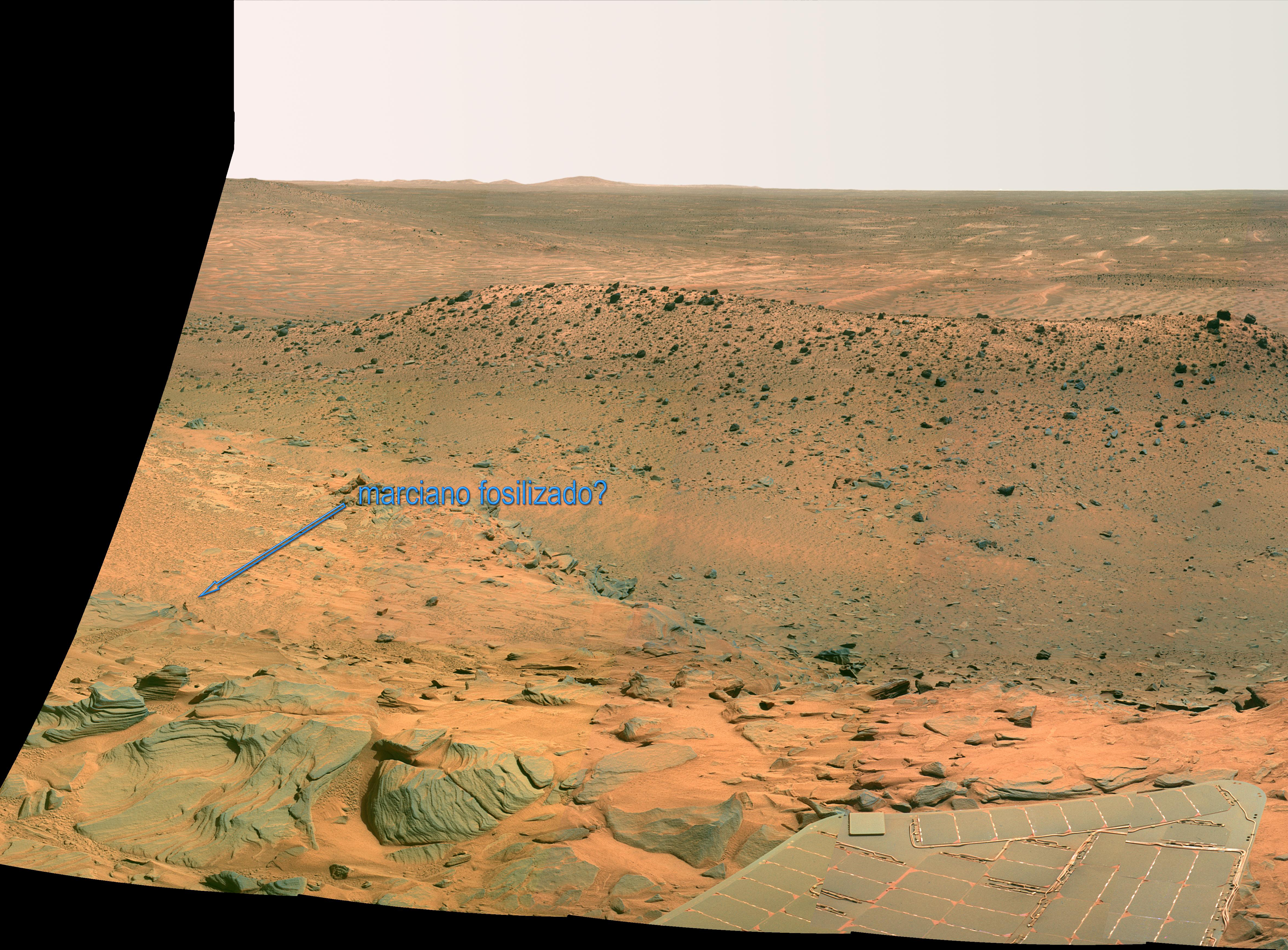 На марсе возможна жизнь. Возможна ли жизнь в недрах Марса. Реки на Марсе фото.